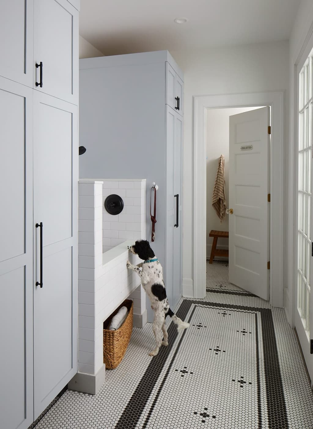 Dog standing in the tiled wash trough set into the floor of a Westfield, NJ mudroom renovation, between full-height white cabinets