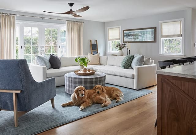 Living room renovation with dogs in Westfield NJ modern farmhouse renovation