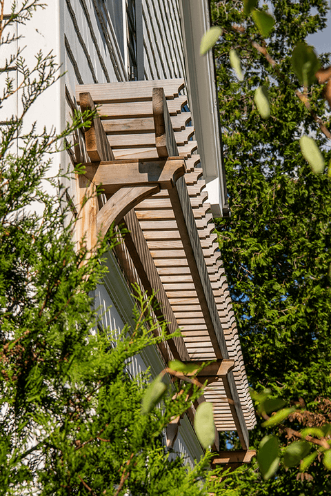 Cedar pergola rafters seen from below through the leaves at a Westfield, NJ exterior remodel, built by Michael Robert Construction