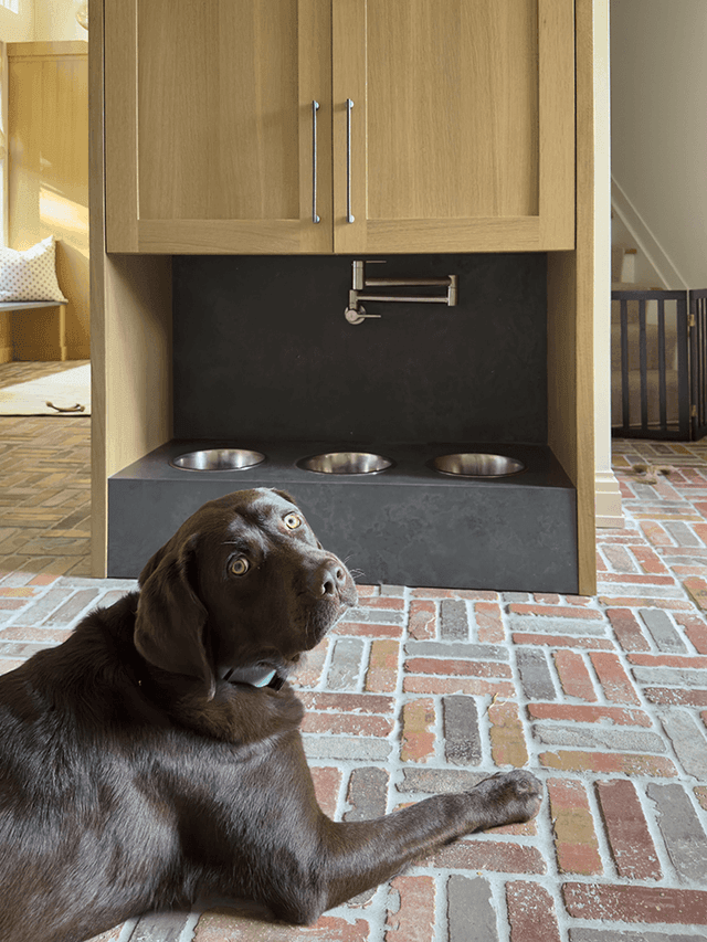 Chocolate Labrador on the brick floor beside a built-in feeding station with a soapstone surround in a Mendham, NJ mudroom