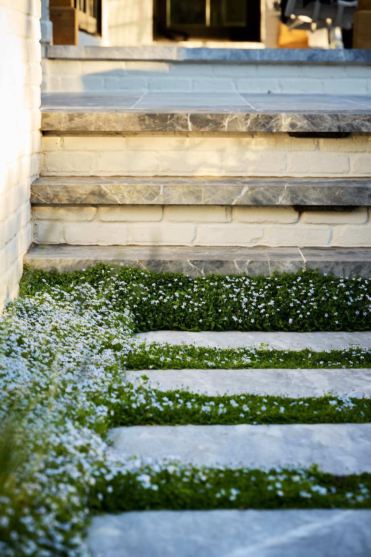 Bluestone steps with low flowering groundcover planted between the treads, in Westfield, NJ